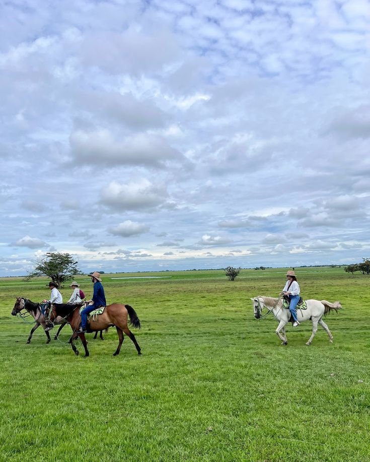 Llanos Orientales - Naturaleza